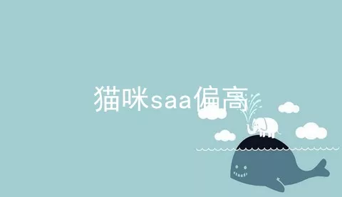 猫咪saa偏高