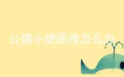 公猫小便困难怎么办