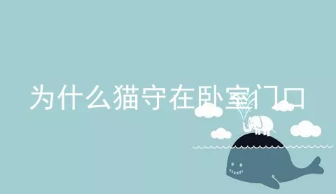 为什么猫守在卧室门口