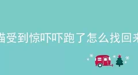 猫受到惊吓吓跑了怎么找回来