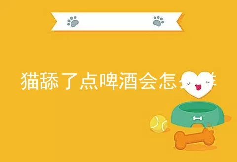 猫舔了点啤酒会怎么样