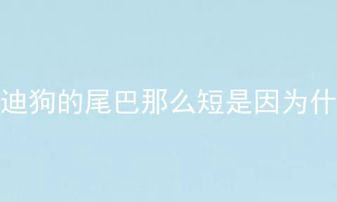 泰迪狗的尾巴那么短是因为什么