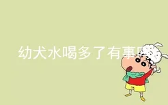 幼犬水喝多了有事吗