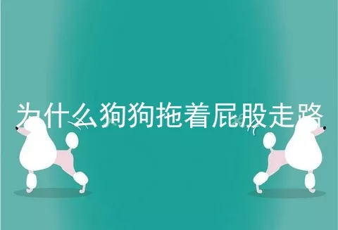 为什么狗狗拖着屁股走路