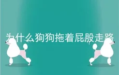 为什么狗狗拖着屁股走路