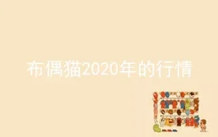 布偶猫2020年的行情