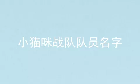 小猫咪战队队员名字