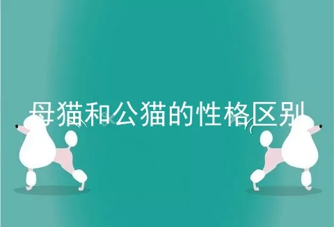 母猫和公猫的性格区别