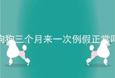 狗狗三个月来一次例假正常吗