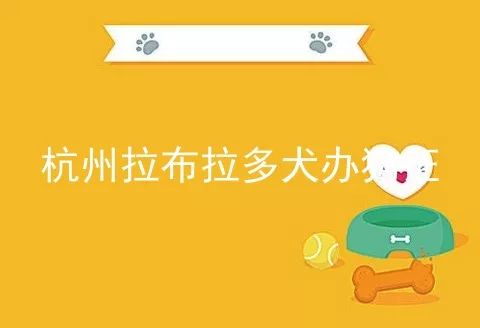 杭州拉布拉多犬办狗证