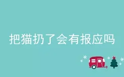 把猫扔了会有报应吗