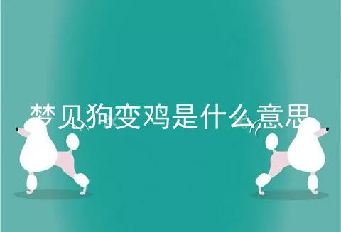 梦见狗变鸡是什么意思