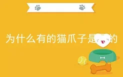 为什么有的猫爪子是黑的