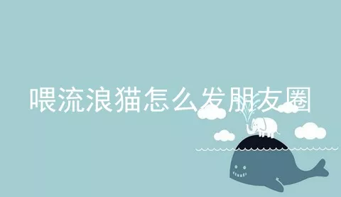 喂流浪猫怎么发朋友圈