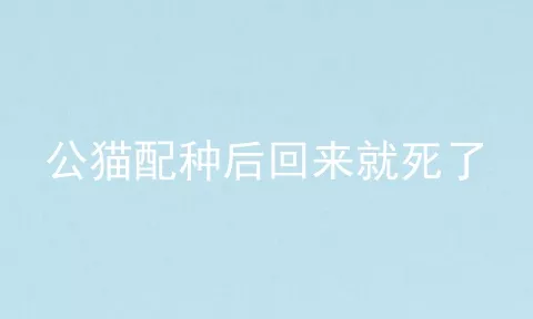 公猫配种后回来就死了