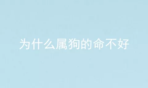 为什么属狗的命不好