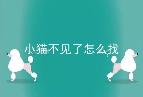 小猫不见了怎么找