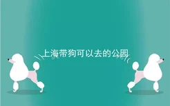 上海带狗可以去的公园