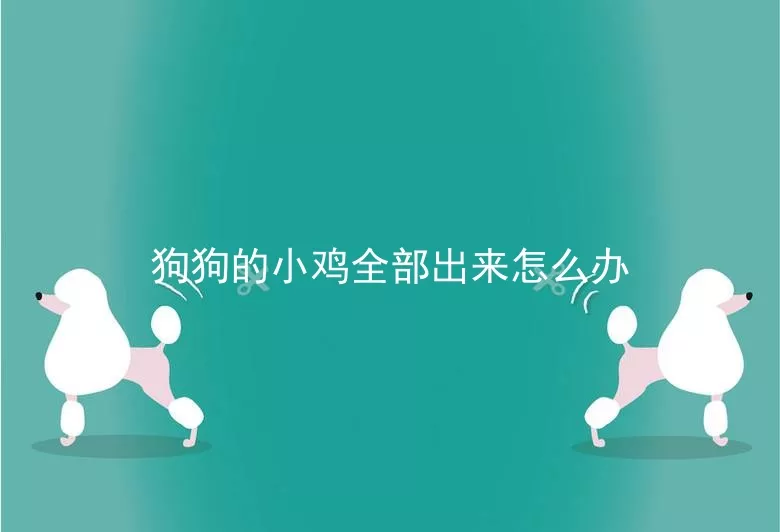 狗狗的小鸡全部出来怎么办