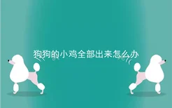 狗狗的小鸡全部出来怎么办