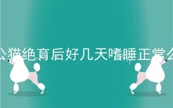 公猫绝育后好几天嗜睡正常么