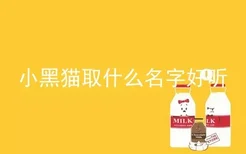 小黑猫取什么名字好听