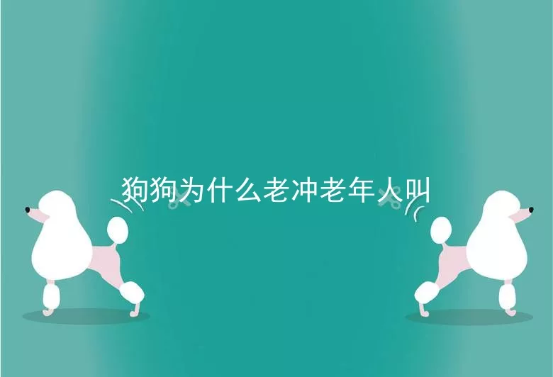 狗狗为什么老冲老年人叫