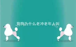 狗狗为什么老冲老年人叫