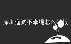 深圳遛狗不牵绳怎么举报