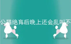 公猫绝育后晚上还会乱叫不