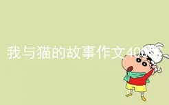 我与猫的故事作文400字