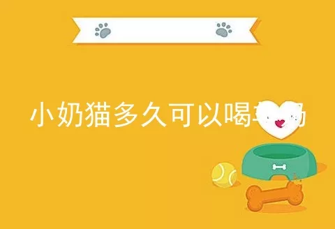 小奶猫多久可以喝羊奶