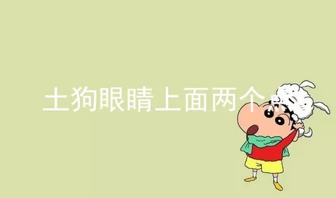 土狗眼睛上面两个点