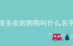 很多皮的狗狗叫什么名字