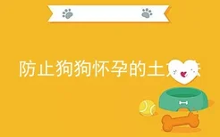 防止狗狗怀孕的土方法