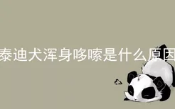 泰迪犬浑身哆嗦是什么原因