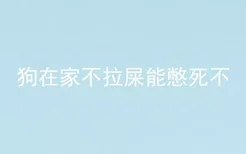 狗在家不拉屎能憋死不