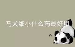 马犬细小什么药最好用