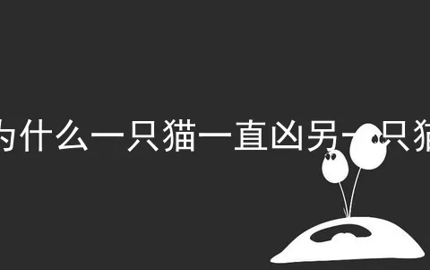 为什么一只猫一直凶另一只猫