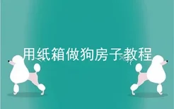 用纸箱做狗房子教程