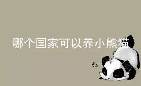 哪个国家可以养小熊猫