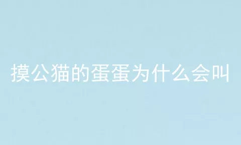 摸公猫的蛋蛋为什么会叫