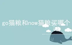 go猫粮和now猫粮买哪个