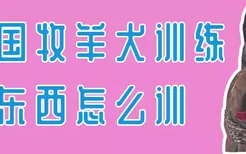 德国牧羊犬训练捡东西怎么训