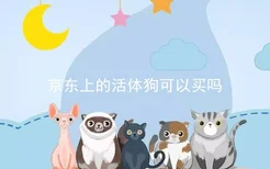 京东上的活体狗可以买吗