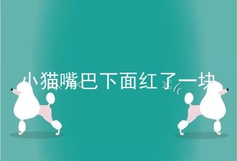 小猫嘴巴下面红了一块