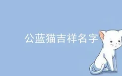 公蓝猫吉祥名字