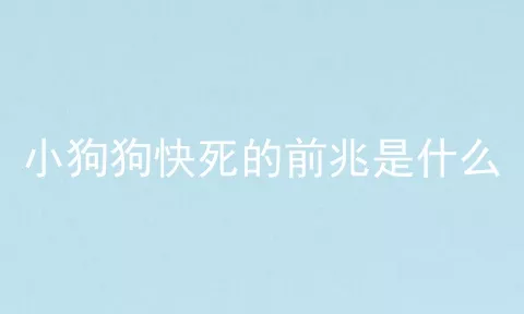 小狗狗快死的前兆是什么