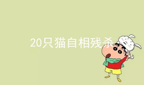 20只猫自相残杀