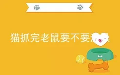 猫抓完老鼠要不要洗澡